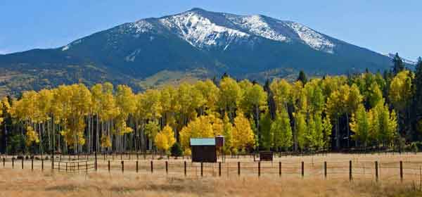 Tours from Flagstaff