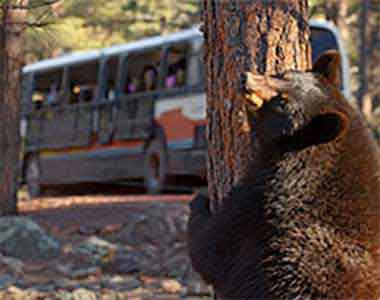 Attractions Worth Experiencing