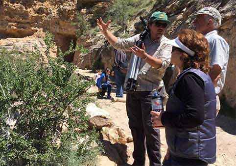 Grand Canyon Hike & Sightseeing Tour